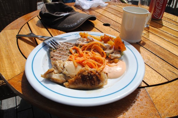 Norgekryssning 456 - Kopia