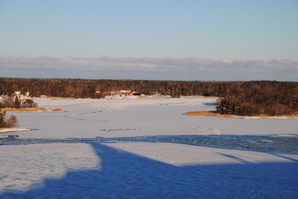 Silja Europas sista resa 393 - Kopia