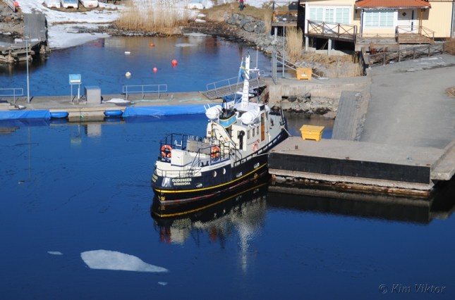 Baltic Princess och Eckerö 451 - Kopia