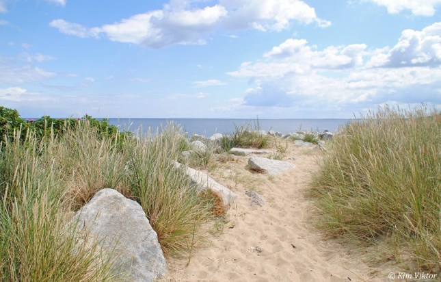 Öland och Polen 1193 - Kopia