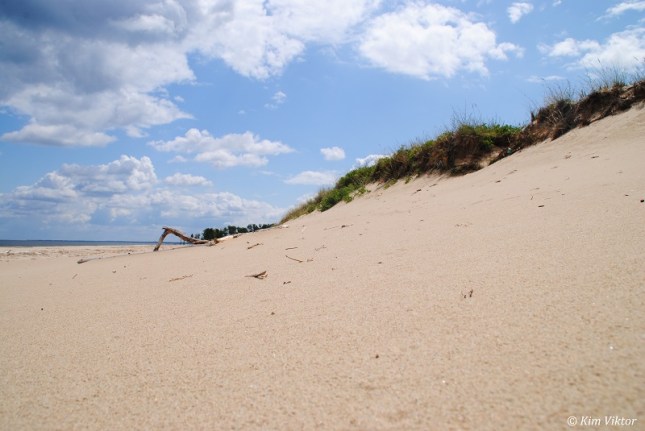 Öland och Polen 1226 - Kopia