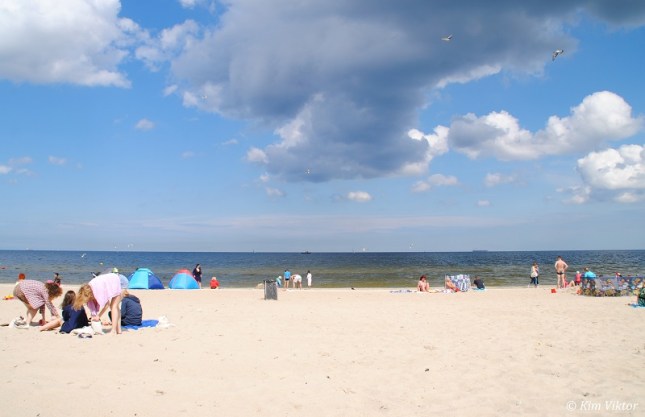 Öland och Polen 1375 - Kopia