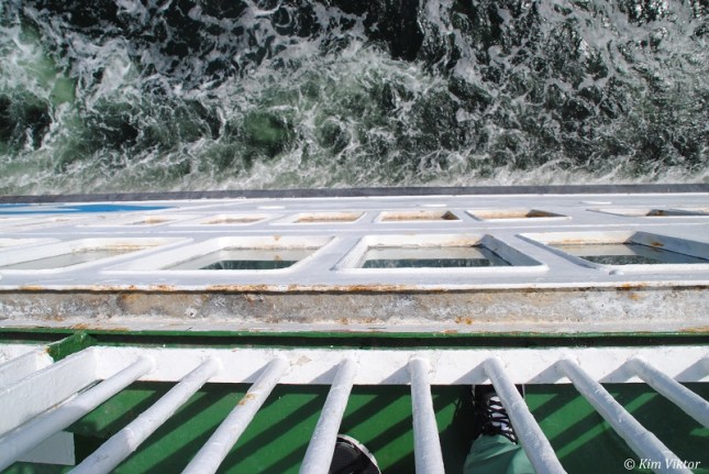 Öland och Polen 1655 - Kopia