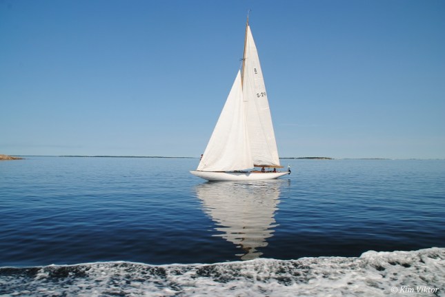 Rödlöga 244 - Kopia