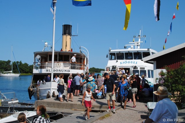 Rödlöga 258 - Kopia