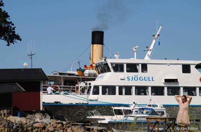 Rödlöga 263 - Kopia