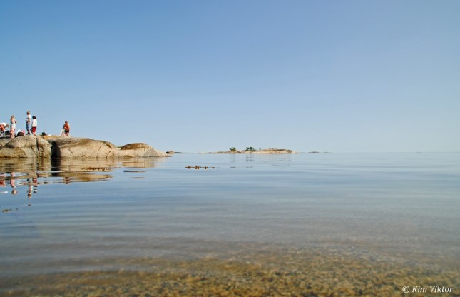 Rödlöga 306 - Kopia