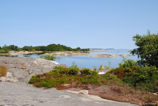 Rödlöga 316 - Kopia