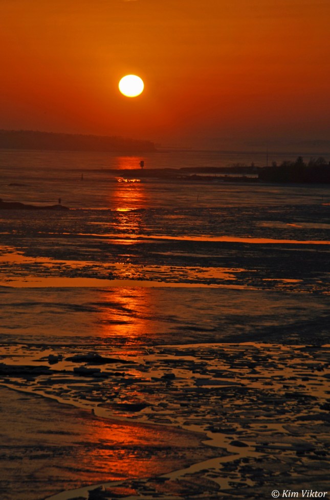 DSC_0558l