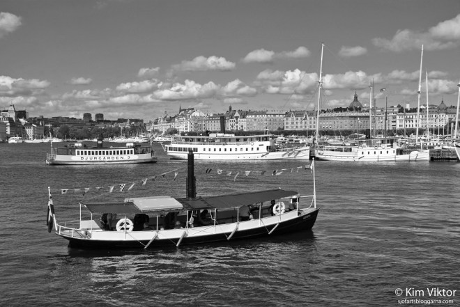 DSC_1164svartvit - kopia