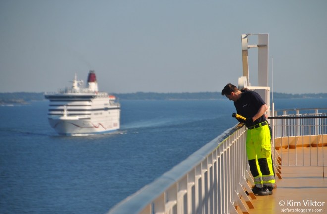 DSC_0417 - kopia - kopia