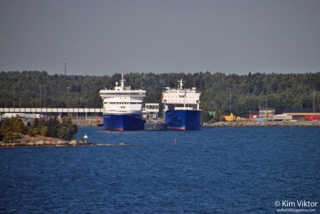 DSC_0443 - kopia - kopia