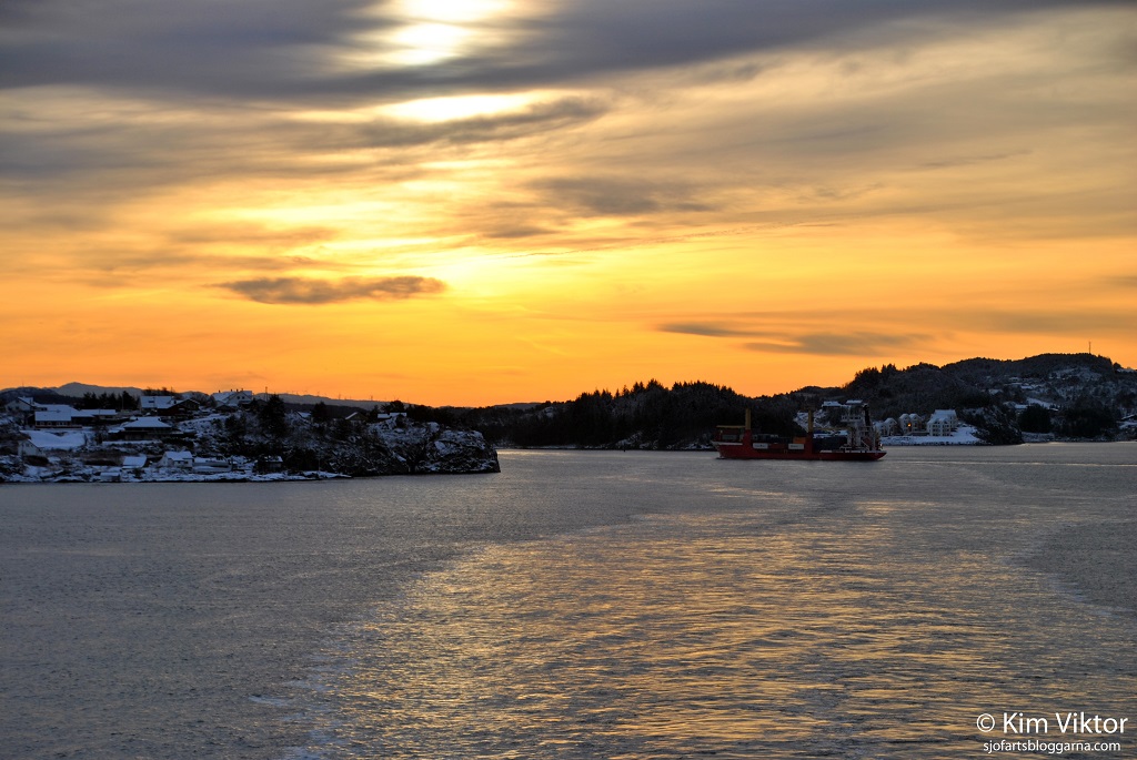 DSC_0745 - kopia - kopia