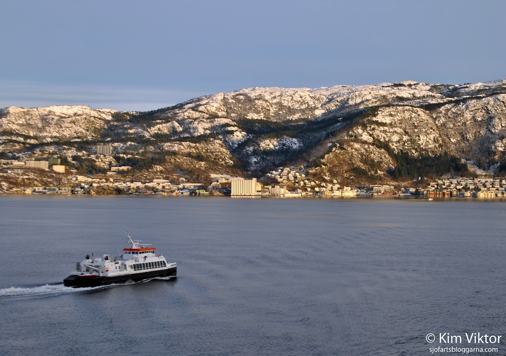 DSC_0954 - kopia - kopia