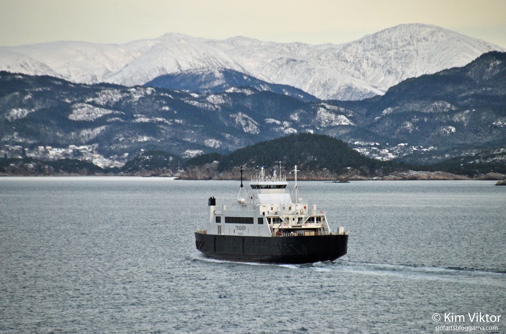 DSC_1049 - kopia - kopia