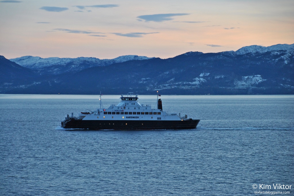 DSC_1110 - kopia - kopia