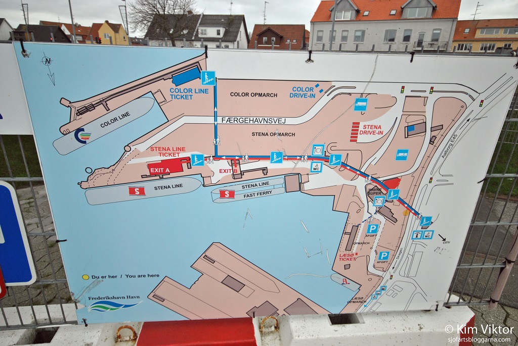 DSC_1176 - kopia - kopia