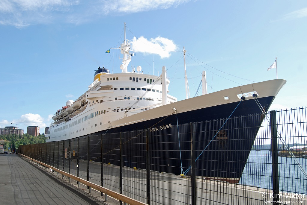 frihamnen-saga-rose-017