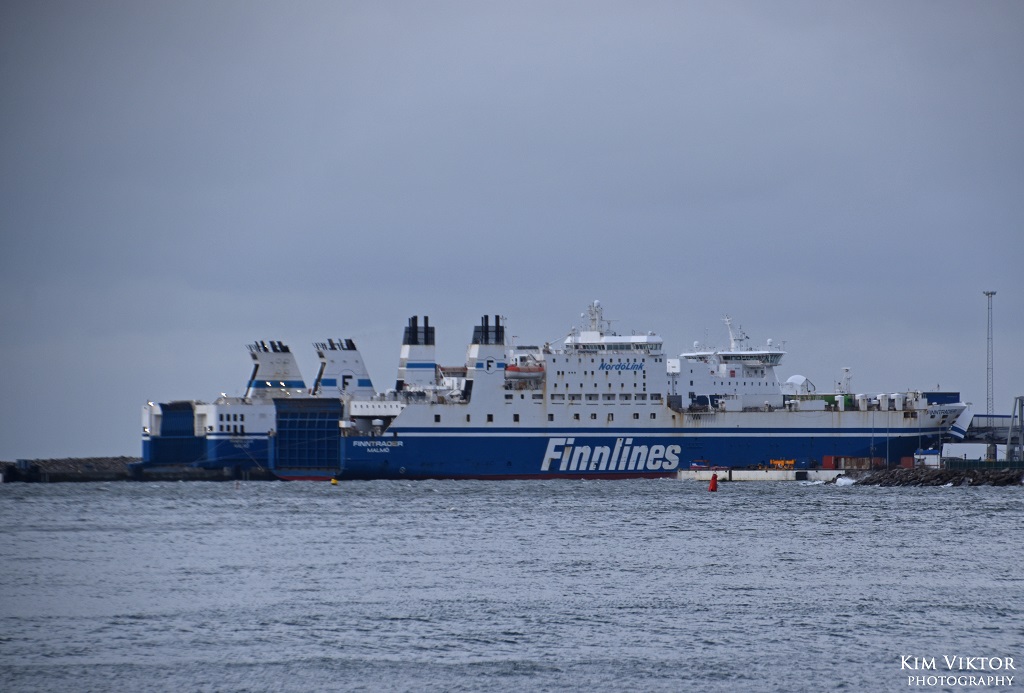 DSC_0808 - kopia