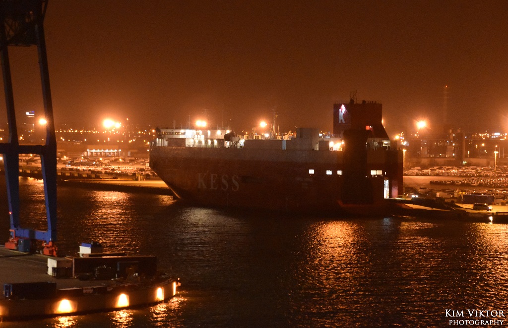 DSC_1061 - kopia