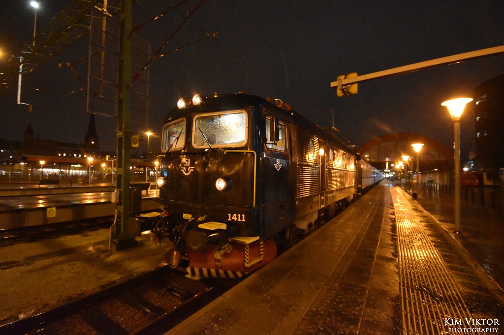 DSC_1076 - kopia