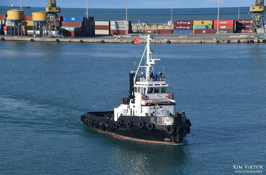 DSC_1010 - kopia