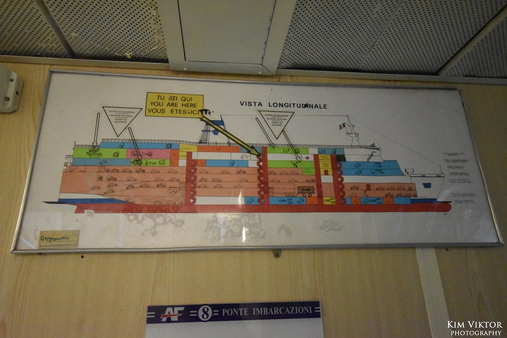 DSC_1200 - kopia