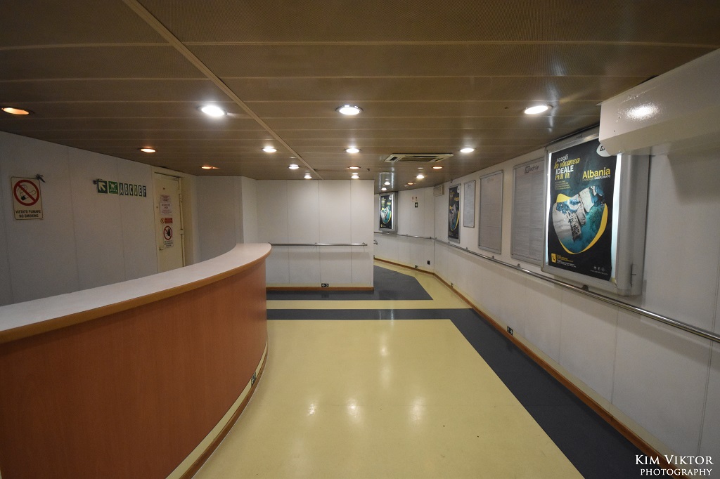 DSC_1356 - kopia